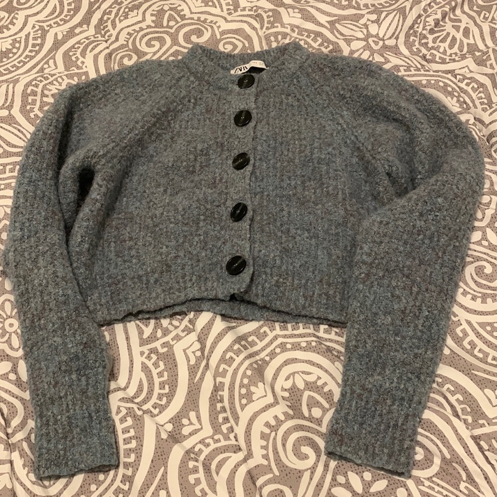 Zara Fuzzy Cardigan